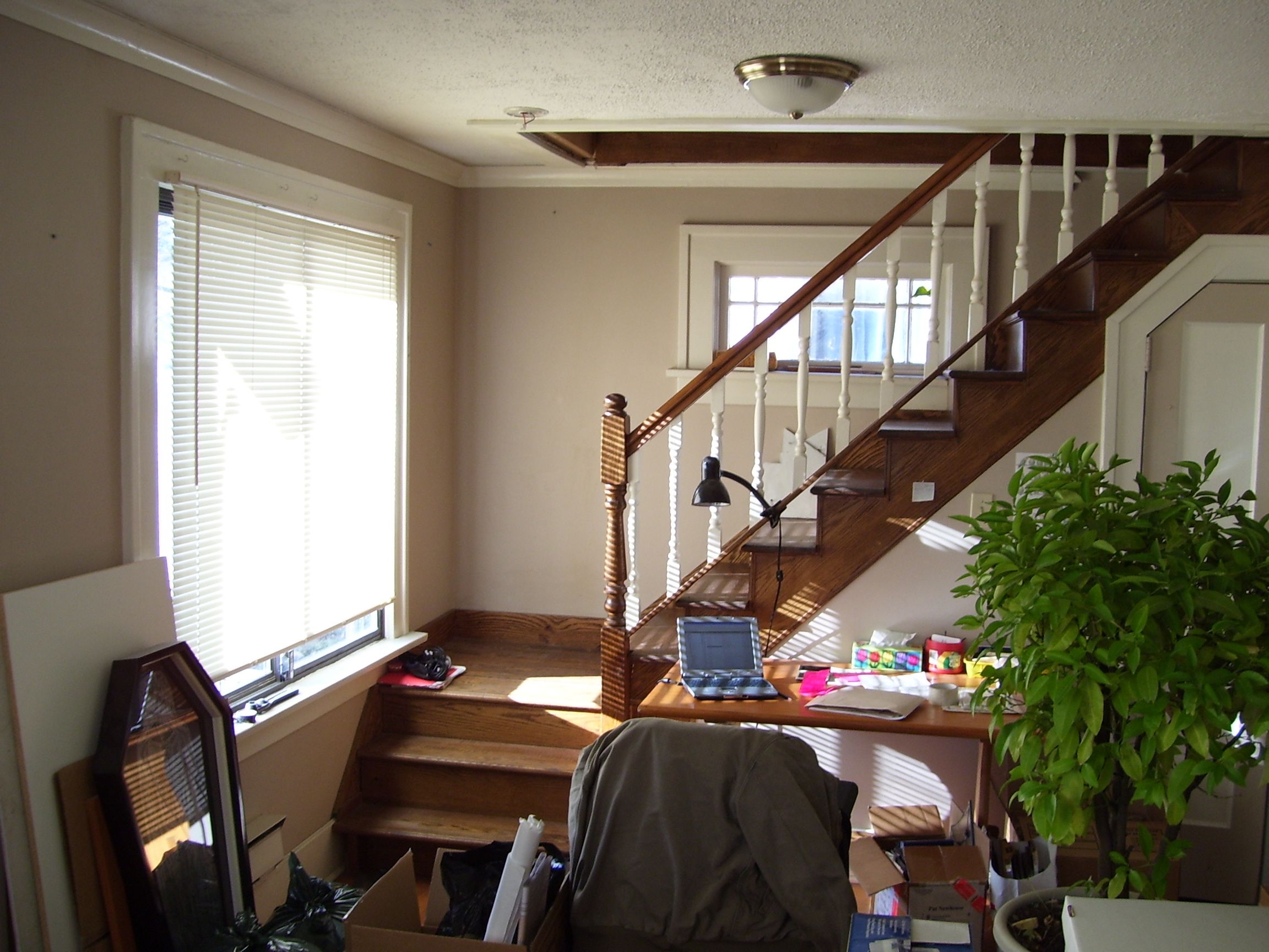 lr2_1764971336_6752.jpg